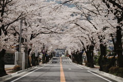 201004180208n[1]