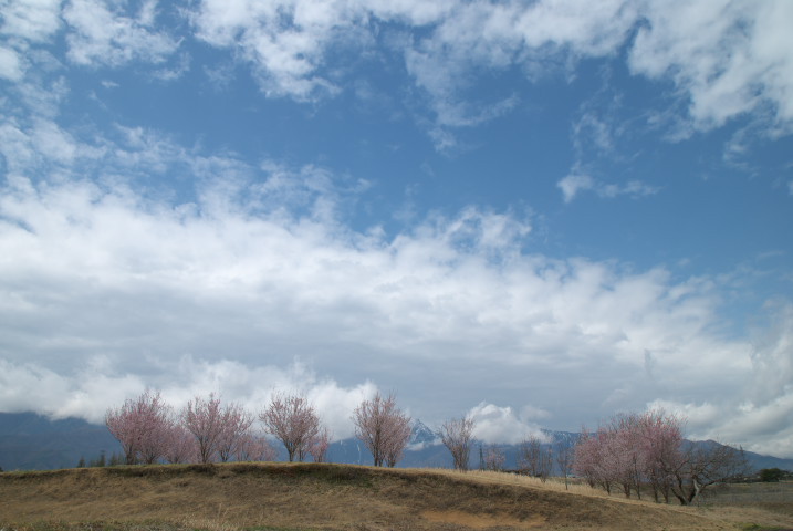 201004110126s[1]