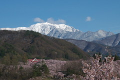 201004170418s[1]
