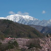 201004170418s[1]