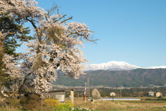 201004170518[1]