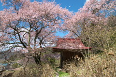 201004170330s[1]