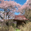 201004170330s[1]