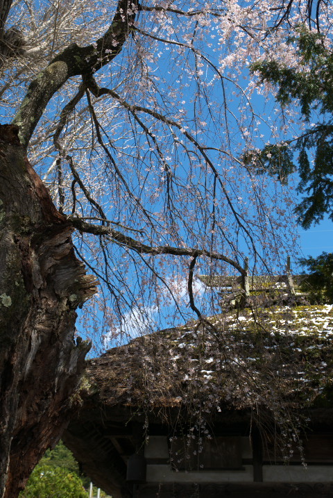 201004170190[1]