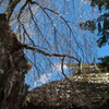 201004170190[1]
