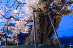 201004240354[1]