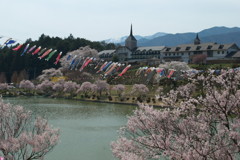 201004180140[1]