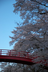 201004170559[1]