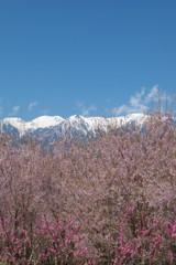 201004100114s[1]
