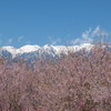 201004100114s[1]
