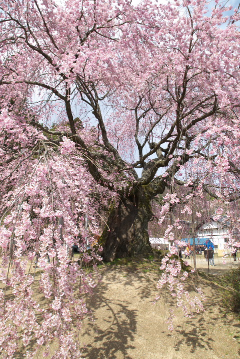 201004030298[1]