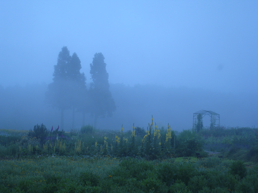 霧中（青山高原）