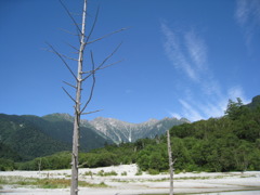 空と木（上高地）