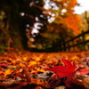 on the red ground