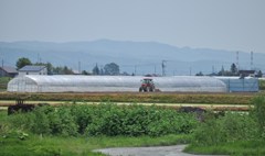 農作業