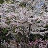jingu8