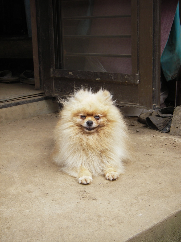 にやり
