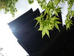 仁和寺
