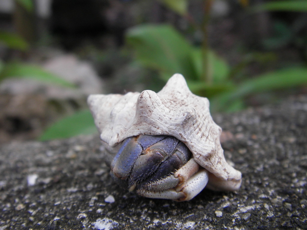 ふて寝