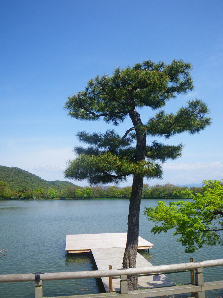 大覚寺