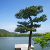 大覚寺