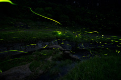 佐野川