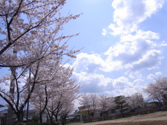 公園