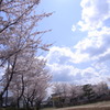 公園