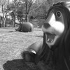 ガオー