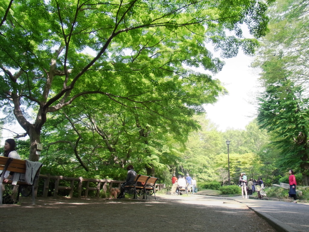 公園の休日