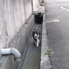 出会い