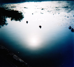 池