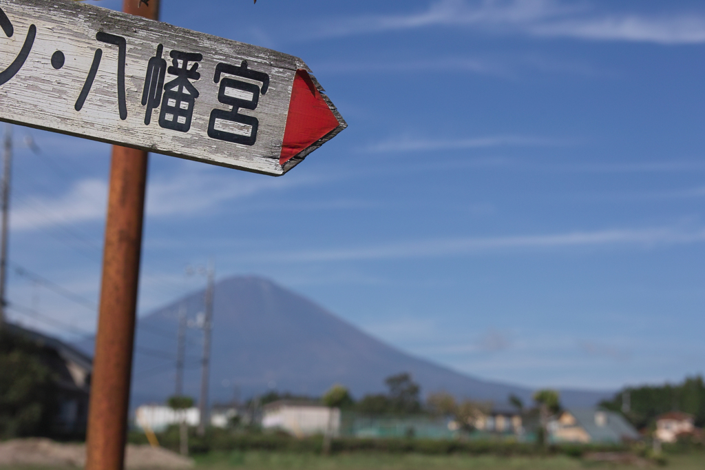 八幡宮はあちらです