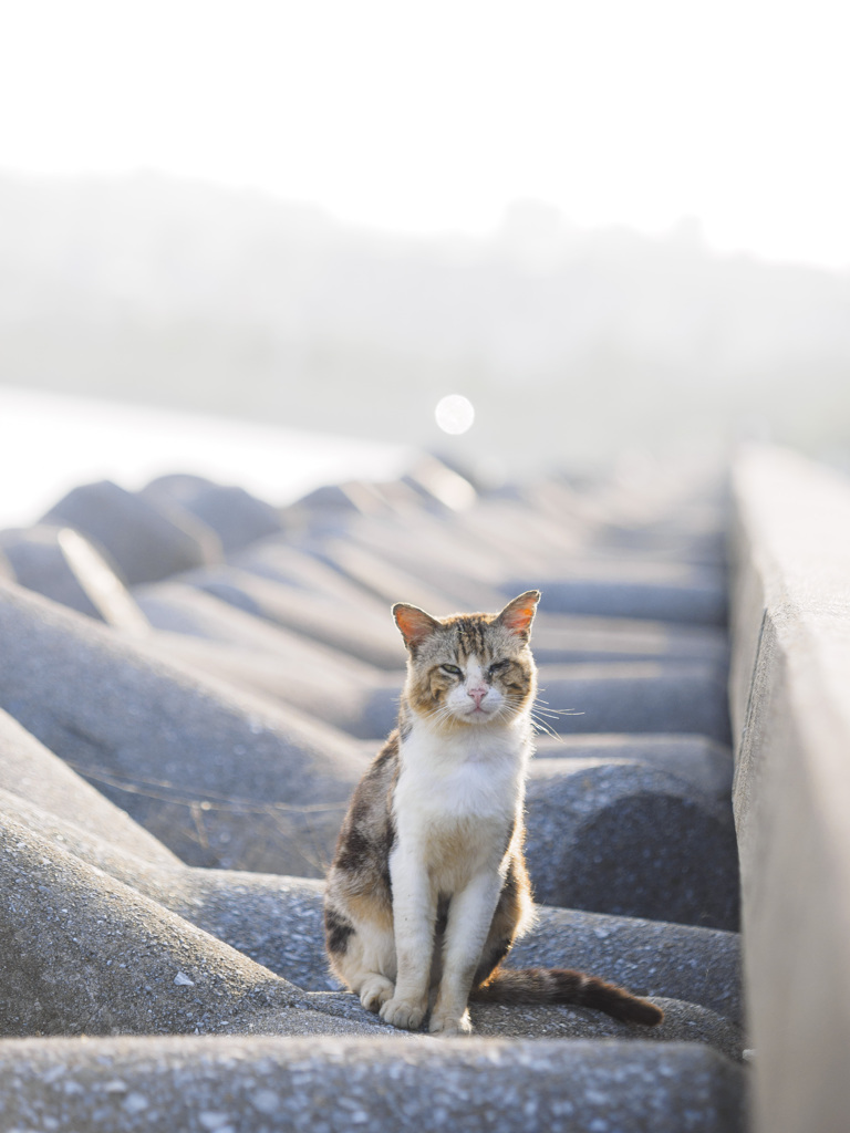 ポートレート