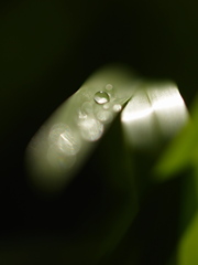 スポットライト