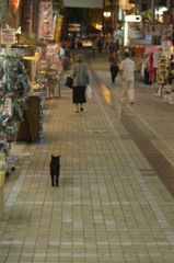 今日も異常なし
