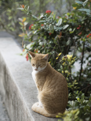 今日はなにしようかな