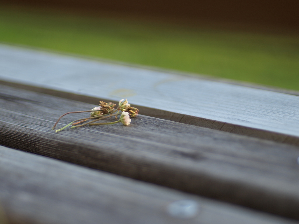 さよならの花束