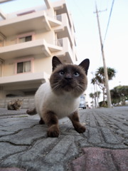 興味津々
