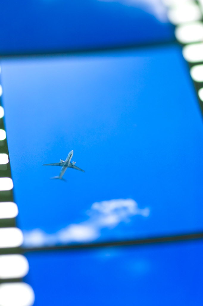 Flight Out