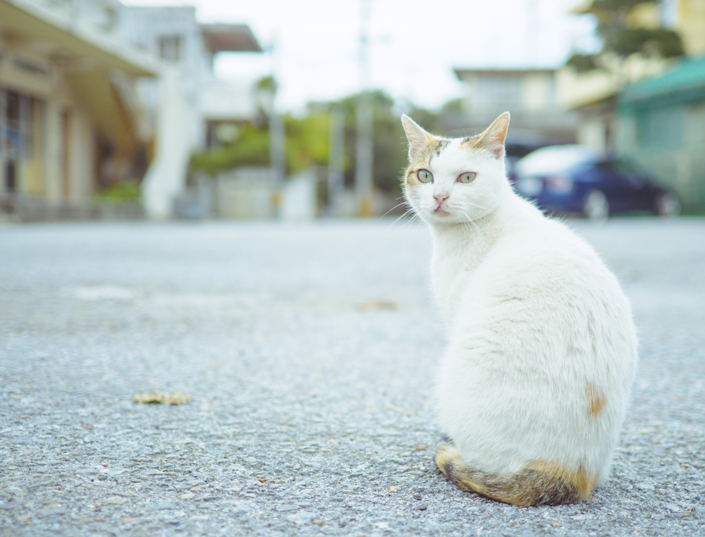 見返り美人