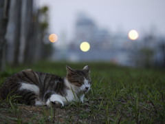 いつの間にか夜になってますね