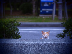 なんですか