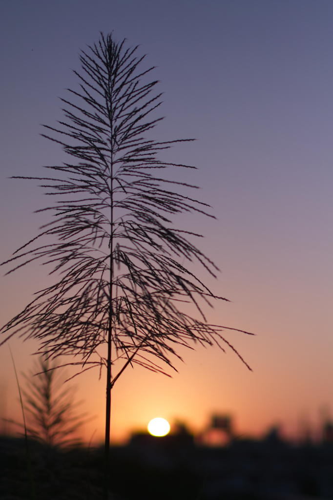 夕暮れ時