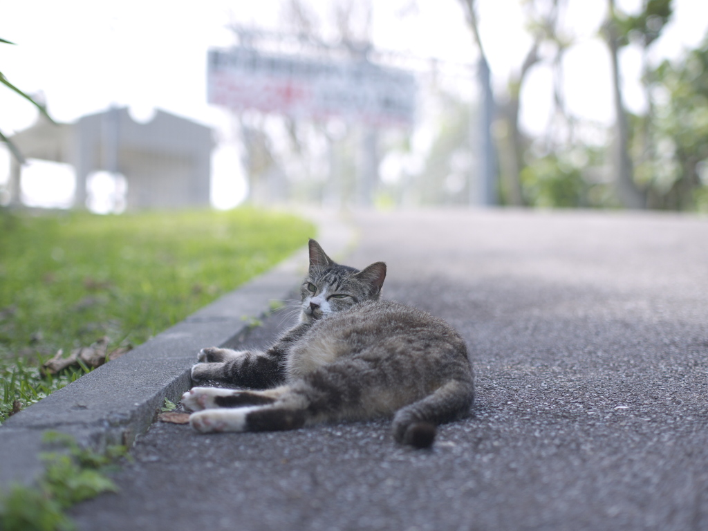 今寝てるんでちょっと後にしてもらっていいですか？