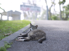 今寝てるんでちょっと後にしてもらっていいですか？