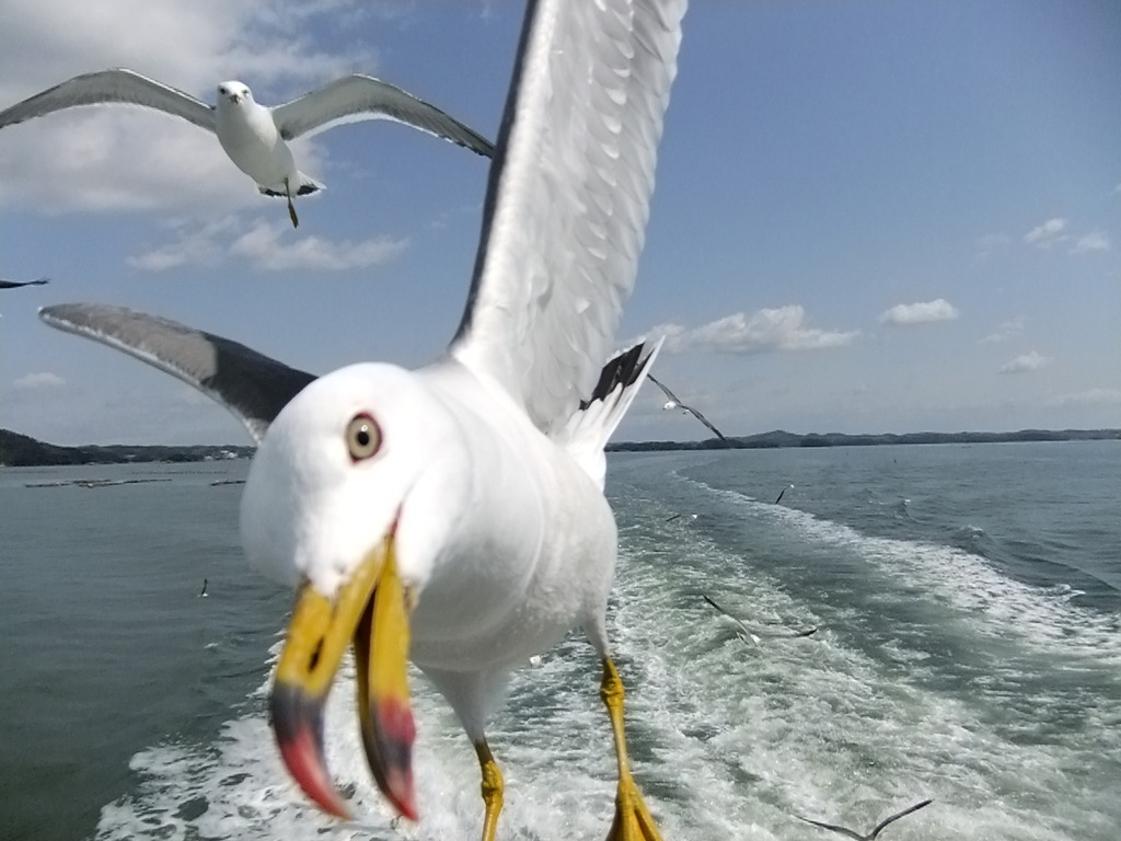 どアップ！②