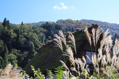 白川郷