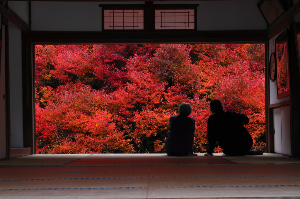 安国禅寺