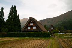 白川郷